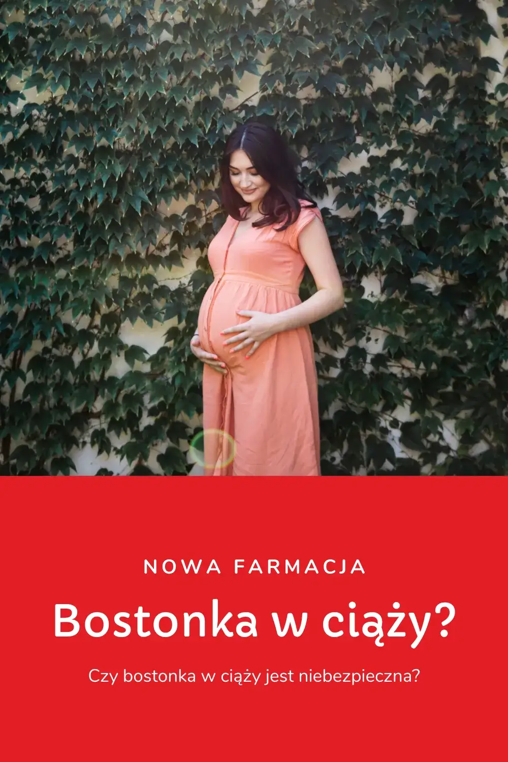 Zdjęcie Czy bostonka jest groźna dla kobiet w ciąży? Ryzyko i zalecenia dla ciężarnych